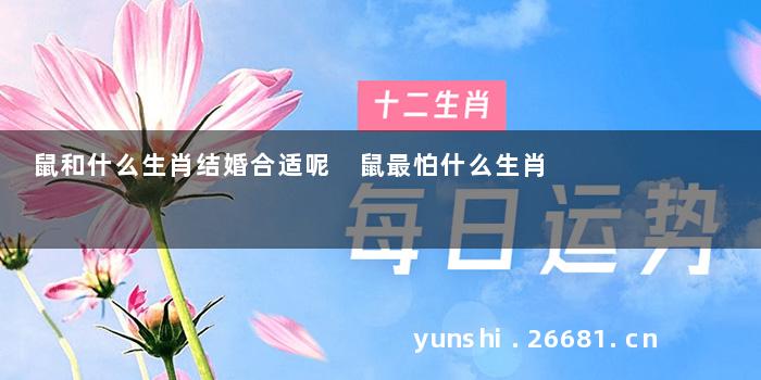 鼠和什么生肖结婚合适呢 鼠最怕什么生肖